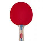 Table Tennis Bat inSPORTline Shootfair S6