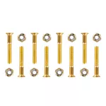 Mounting Screws WORKER 5x35mm - Gold