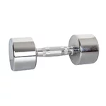 6 kg Chrome Dumbbell inSPORTline