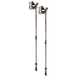 Hůl pro nordic walking Leki Instructor Lite 2023