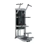 Freistehende Kimmzugstange Steelflex Mega Power MCD2100 Chin Up/Dip