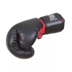 Potřeba na box Shindo Sport Boxerské rukavice Shindo Sport