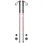 Trekking Poles FERRINO Spantik SS23