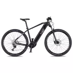Horský elektrobicykel 4EVER Esword Team M510 29" - Chameleon/Hologram