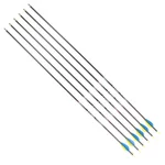 Carbon Arrows Disport Mixx 32/1100 6 Pcs.