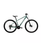 Horské kolo Kross Hexagon 2.0 29" Gen 008 - zelená / stříbrná / lesk