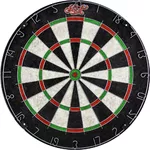 Bristle Dartboard Shot