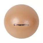 Piłka gimnastyczna do aerobiku inSPORTline Aerobic Ball rehabilitacyjna 25 cm - mus mokka