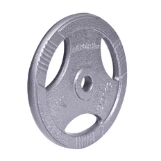 Litinový kotouč inSPORTline Hamerton 20 kg 30 mm