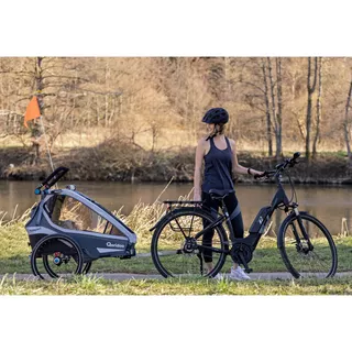 Multifunctional Bicycle Trailer Qeridoo KidGoo 2 Sport - Petrol Blue