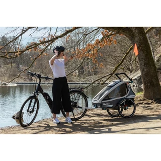 Multifunctional Bicycle Trailer Qeridoo KidGoo 2 Sport - Anthracite Grey