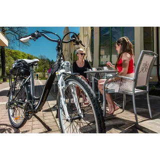 Urban E-Bike Crussis e-City 7.2