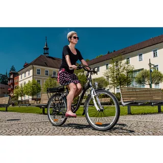 Urban E-Bike Crussis e-City 7.2