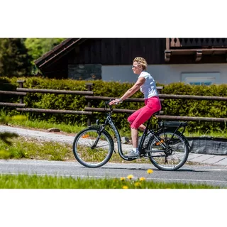 Urban E-Bike Crussis e-City 7.2