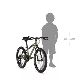 Dětské kolo KELLYS LUMI 50 20" 9.0