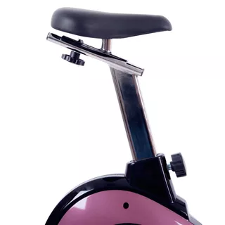 Exercise Bike inSPORTline Klegan