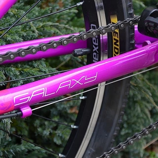 Junior's girsl bike Galaxy Lyra 24" - model 2015 - Purple