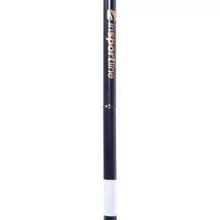 Trekking Pole inSPORTline Luzy