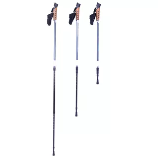 inSPORTline Vilarica Nordic Walking Stöcke