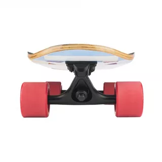 Mini Longboard Fish Old School Cruiser Flounder 31"