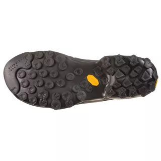 Men’s Hiking Shoes La Sportiva TX4 - Carbon/Flame