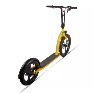 E-Scooter W-TEC Richbit 20/16”