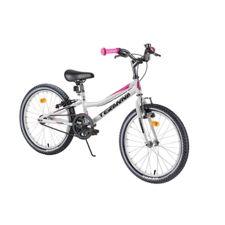Children’s Bike DHS Teranna 2004 20” – 2019 - Purple - White