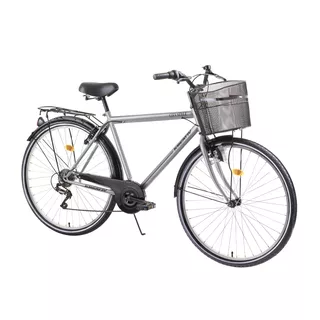 Urban Bike Kreativ City Series 2813 – 4.0 - Grey