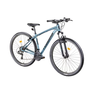 Mountain Bike DHS Teranna 2923 29” – 2019 - Black - Light Blue