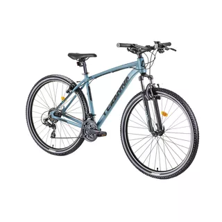 Mountain Bike DHS Teranna 2923 29” – 2019 - Light Blue