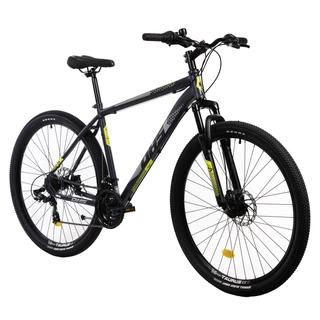 DHS 2905 29" Mountainbike - Modell 2021