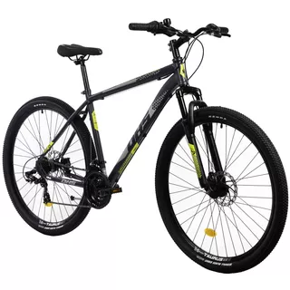 Mountainbike DHS 2905 29 "- Modell 2022 - Grau