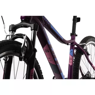 Women’s Mountain Bike DHS Terrana 2922 29” – 2022 - Violet