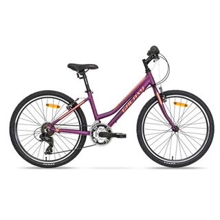 Juniorský dievčenský bicykel Galaxy Lyra 24" - model 2019 - fialová - fialová