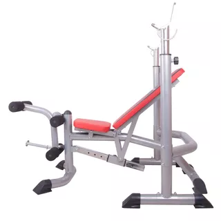 Мултифункционална лежанка  inSPORTline LKM904