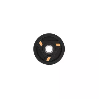 Rubber-Coated Weight Plate inSPORTline Herk 1.25 kg 30 mm