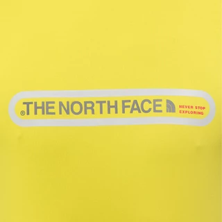 Pánske tričko THE NORTH FACE Teram
