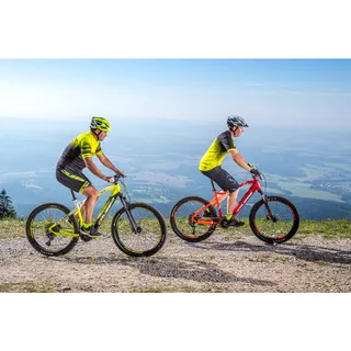 Mountain E-Bike Crussis e-Atland 7.6-L - model 2021