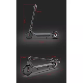 E-Scooter City Boss Pump Twin Extra