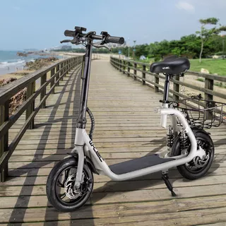 E-Scooter W-TEC Billar 500W 12”