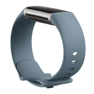 Fitness náramek Fitbit Charge 5 Steel Blue/Platinum Stainless Steel