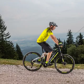 Mountain E-Bike Crussis e-Cross 7.6-M - model 2021