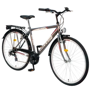 Bicykel DHS Treking 2831 - model 2011 - strieborná