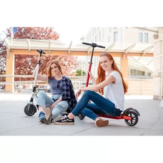 E-Scooter Powero City - Anthracite