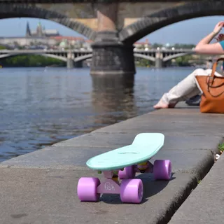 Fish Classic 22" Penny Board