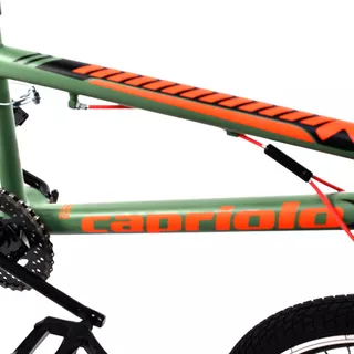 BMX Bike Capriolo Totem 20” 6.0 - Green Deep Grey