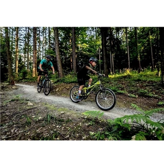 Children’s Bike KELLYS LUMI 50 20” – 2020 - Green