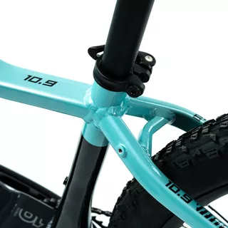 Dámské horské elektrokolo Crussis e-Fionna 10.9-M 29"