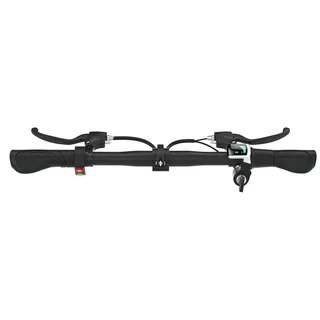 E-Scooter W-TEC Richbit 20/16”