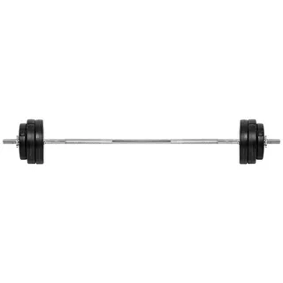 Dumbbell Set w/ Dip Station inSPORTline Power Tower 3-50 kg